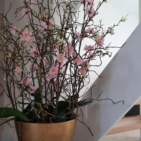 Hébergement de vacances Stylish By The Sea