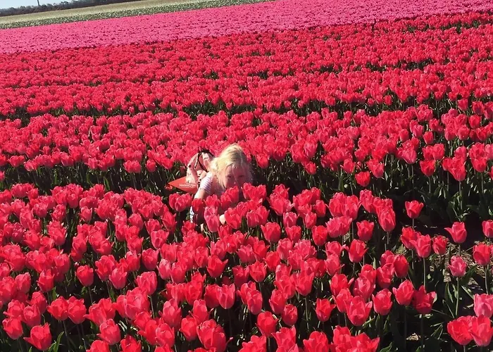 Vakantiehuis Stylish By The Sea *