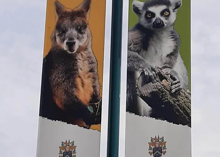 Stylish By The Sea Hébergement de vacances Tuitjenhorn