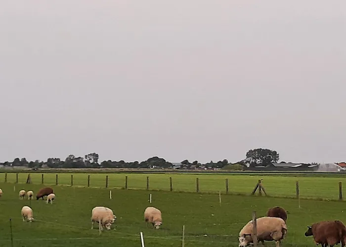 Hébergement de vacances Stylish By The Sea